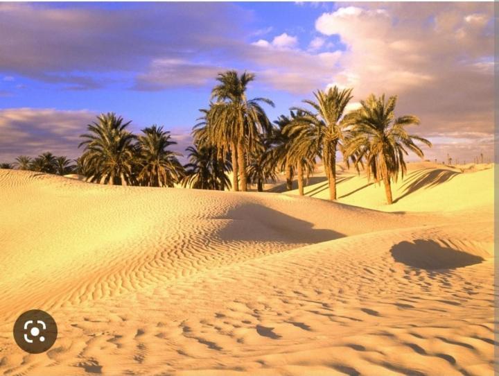 Riad Sable Chaud Marrakesh Bagian luar foto